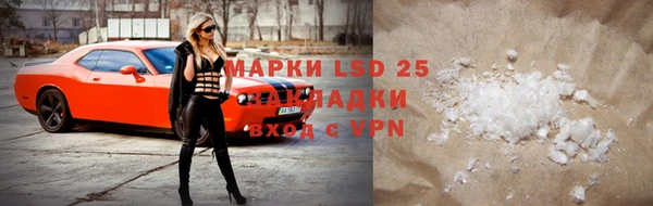 прущие грибы Карпинск