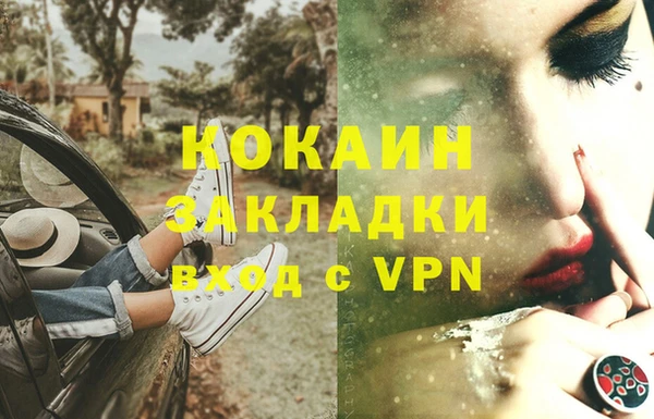 прущие грибы Каменка