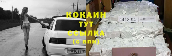 прущие грибы Карпинск