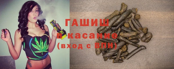 прущие грибы Карпинск
