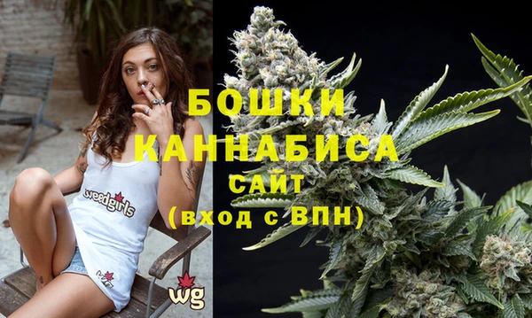 прущие грибы Карпинск