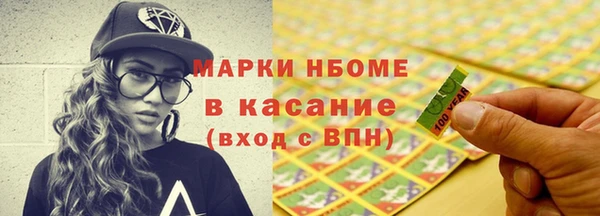 прущие грибы Карпинск