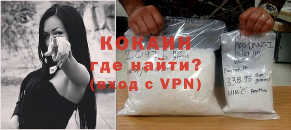 прущие грибы Каменка