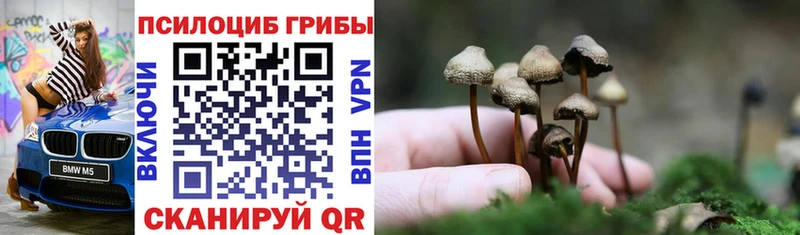 Купить  Вельск  Псилоцибиновые грибы ЛСД 